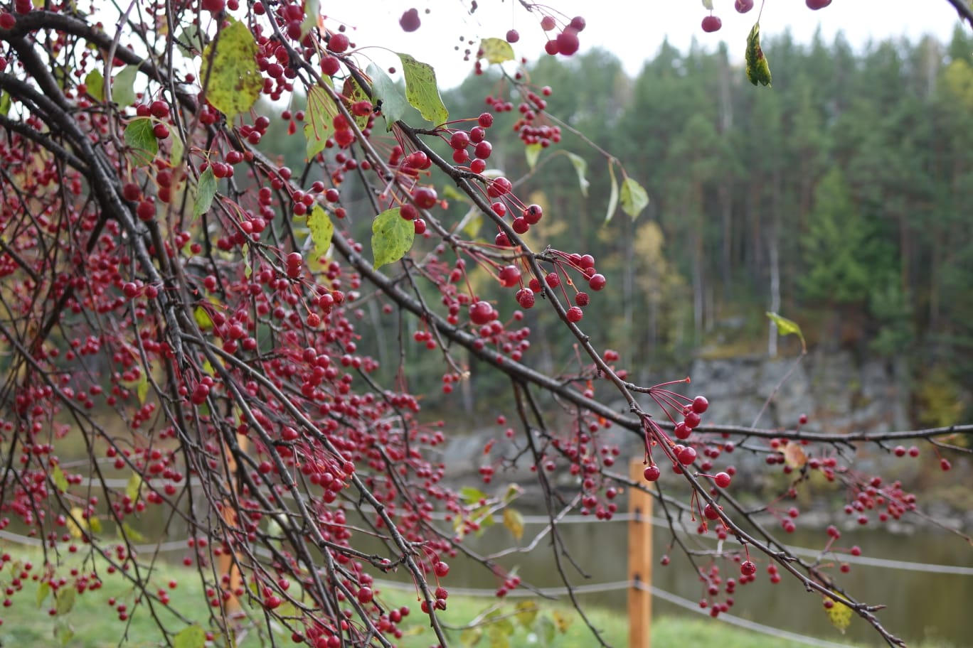 Верхотурье осень