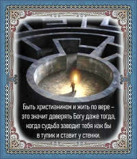 Цитата