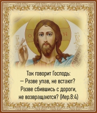 Цитата