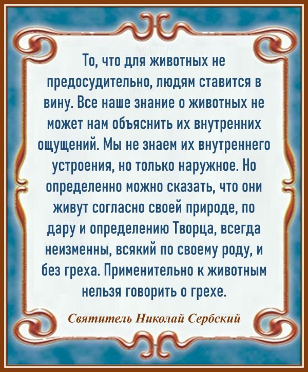 Святитель Николай Сербский