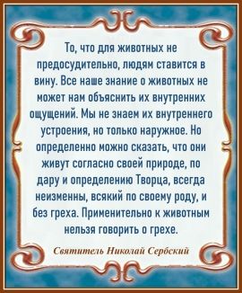 Святитель Николай Сербский