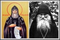 Истории из жизни