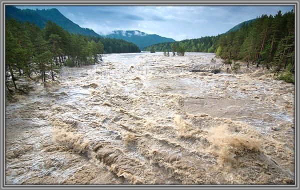 СЛУШАЙ СВОЁ СЕРДЦЕ. ПРИТЧА