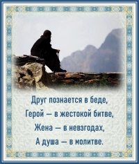 Цитата