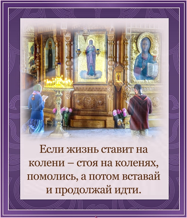 Цитата