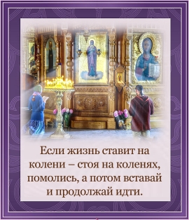Цитата