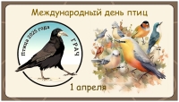Международный день птиц