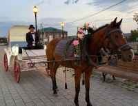 Современное верхотурское конное такси