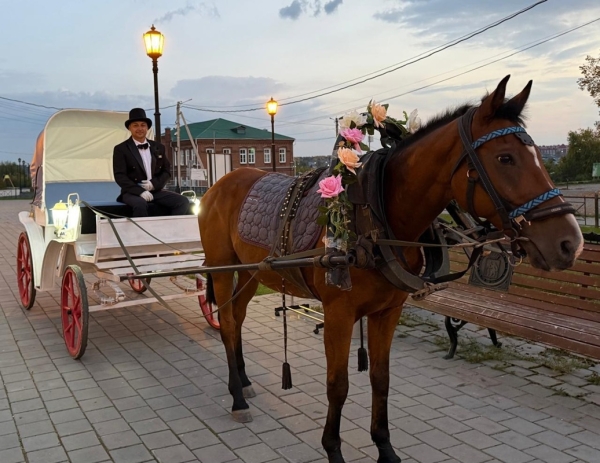 Современное верхотурское конное такси