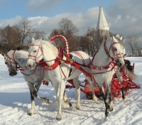 Русская тройка.