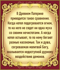 Цитата