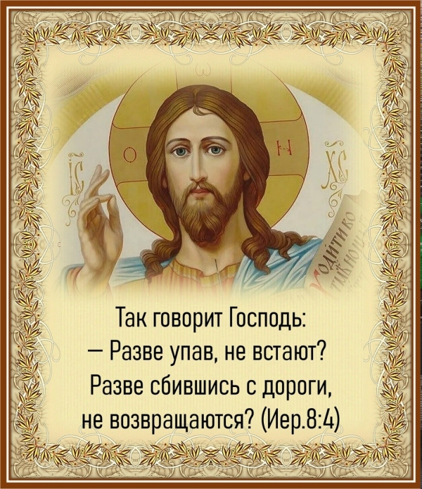 ЦИТАТА ОТ ГОСПОДА