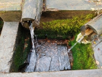 Да изольётся из сердца каждого из нас живоносный источник