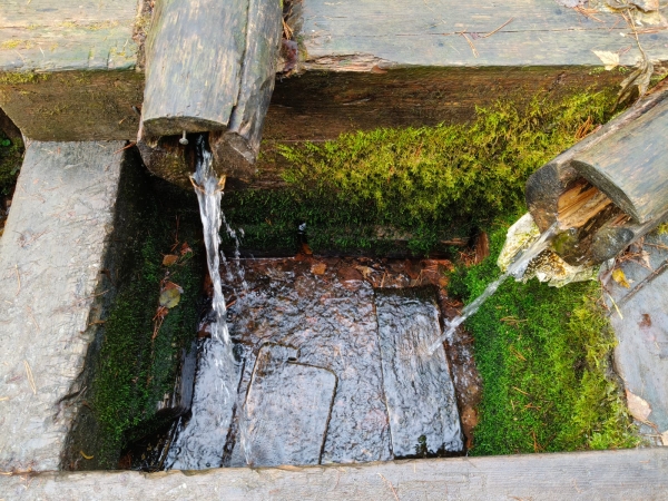 Да изольётся из сердца каждого из нас живоносный источник