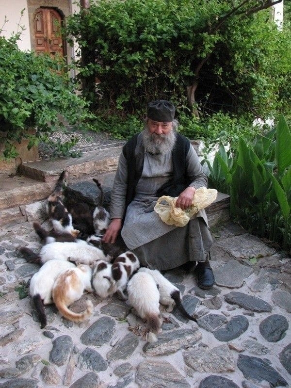Афонские старцы об отношении к животным