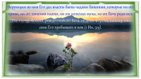 Для души. Православная поэзия. Равновесие.