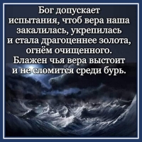 Цитата