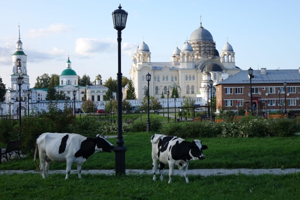 Вот моя деревня: вот мой дом родной...