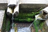 Верхотурский лес