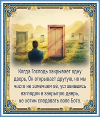 Цитата