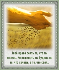 Мудрые мысли