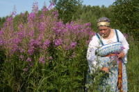 Белый цвет июля