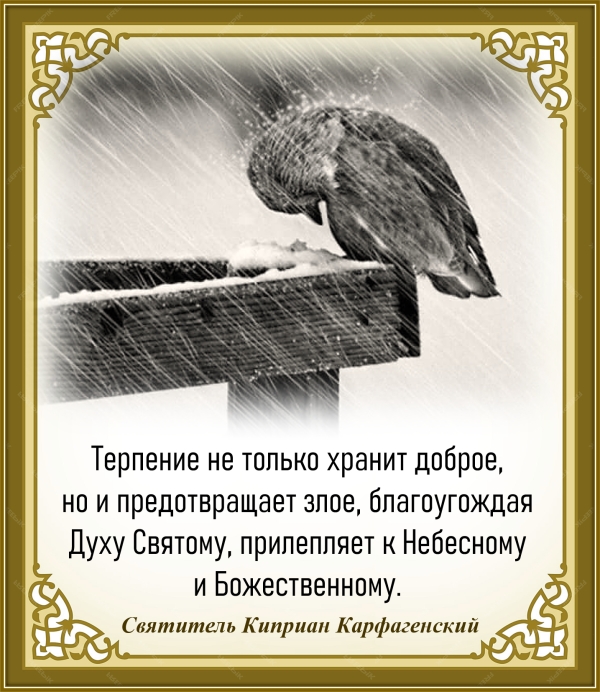 Святитель Киприан Карфагенский