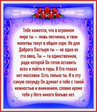 Цитата