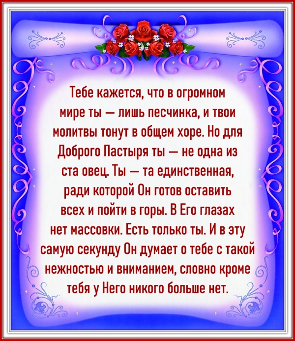 Цитата
