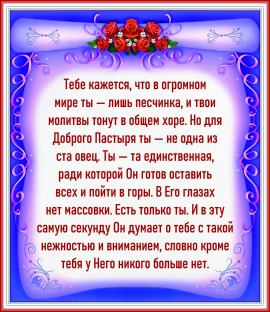 Цитата