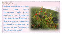 Православная поэзия. Верю.