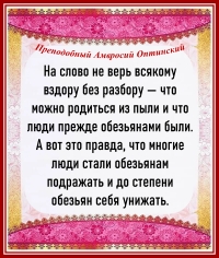 Преподобный Амвросий  Оптинский