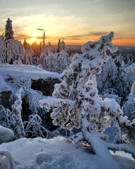 Зимний уральский лес