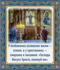 Цитата