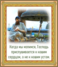Цитата