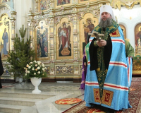 Рождественское обращение митрополита Евгения.