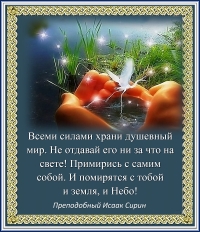 Цитата