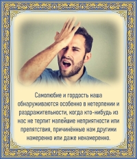 Цитата