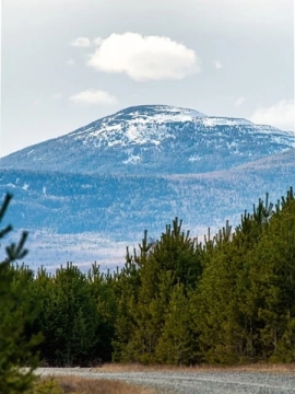 Речка Берёзовка – берёзовая Русь на Северном Урале