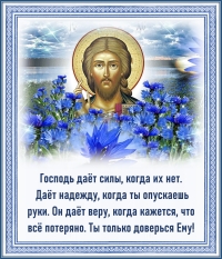 Цитата