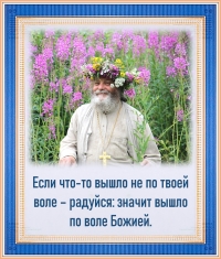 Цитата