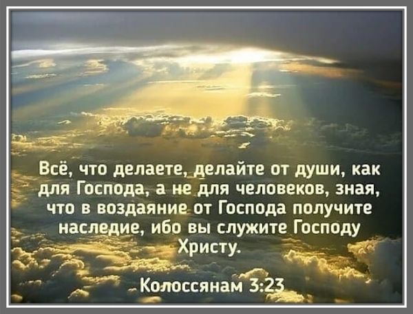 Цитата