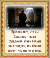 Цитата