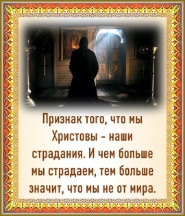 Цитата