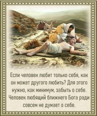 Цитата