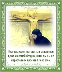 Цитата