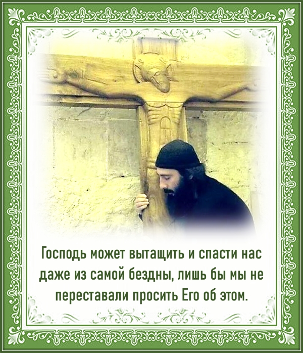 Цитата