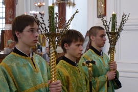 Божественная литургия на праздновании входа Господня в Иерусалим