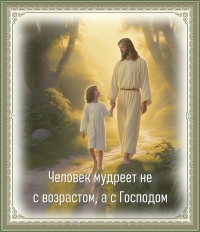 Цитата