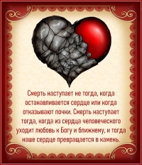 Цитата